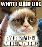 what i look like if youre talking while im talking resized 600