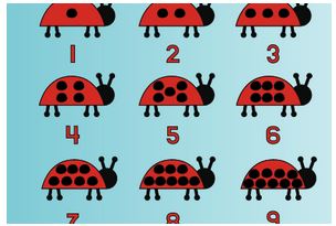 Numbers: Ladybug Lesson Plan