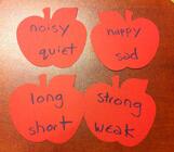 variquest_cutout_apples_2-861174-edited