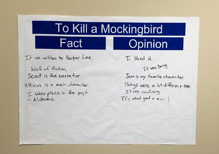 Fact_and_Opinion_Graphic_Organizer