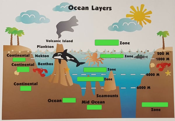 VariQuest Perfecta Scan Ocean Layers Answers Covered