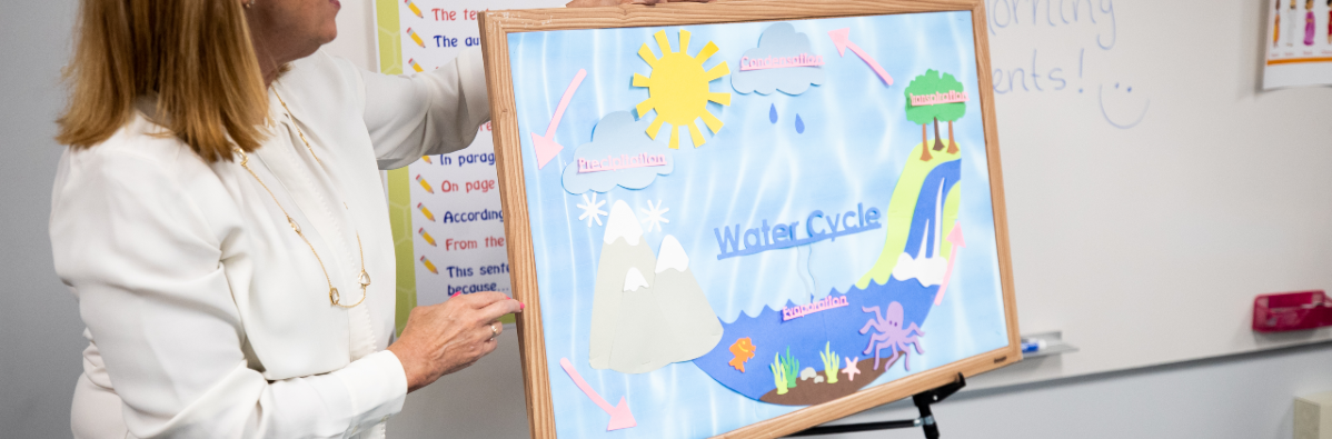 water cycle die cut bulletin board variquest